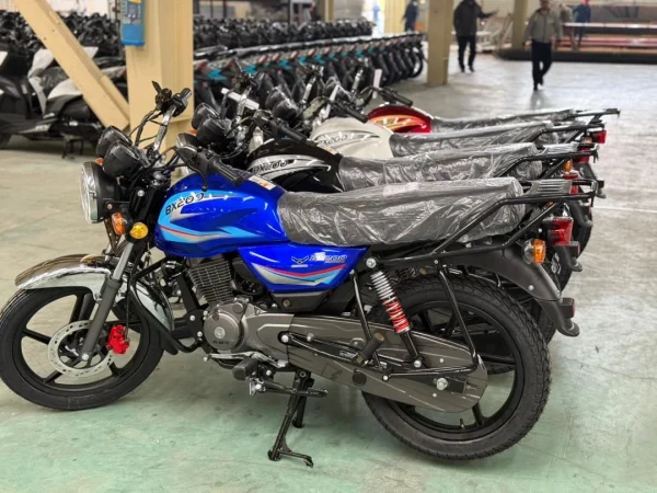 موتورسیکلت دایچی باکسر200 Daichi Bx - تصویر 5