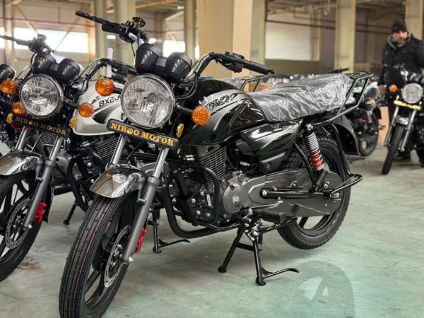 موتورسیکلت دایچی باکسر200 Daichi Bx - تصویر 3