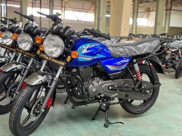 موتورسیکلت دایچی باکسر200 Daichi Bx - تصویر 4