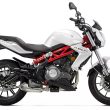 موتورسیکلت بنلی 300 Benelli